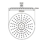 250mm Chrome Shower Head