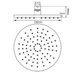 250mm Black Shower Head