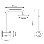 10" Chrome Shower Station