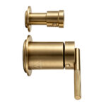 CADDENCE Series Brushed Brass Wall Mixer with Diverter Trim Kit(Separate Cover Plate,match CLPD)