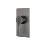 CADDENCE Series Brushed Gun Metal Grey Wall Mixer(color up)