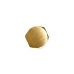 Brushed Brass Outlet Stop Cap for BUYG001.ST