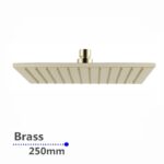 250mm Brushed Brass Shower Head