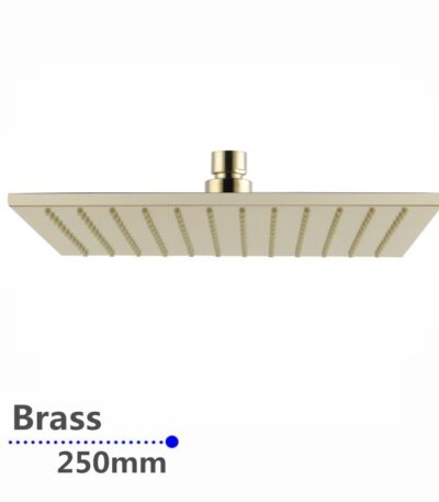 250mm Brushed Brass Shower Head