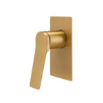 RUSHY Series Brushed Brass Wall Mixer Trim Kit (match CLPM)