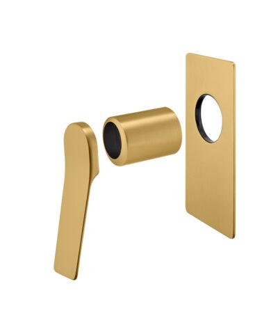 RUSHY Series Brushed Brass Wall Mixer Trim Kit (match CLPM)