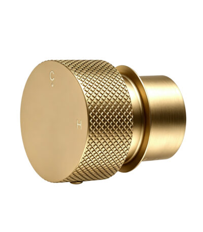 Progressive Brushed Brass Handle