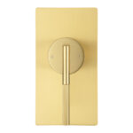 CADDENCE Series Brushed Brass Wall Mixer Trim Kit Only (match CLPM)