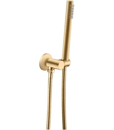 Brushed Brass Shower Rail with Handheld Shower