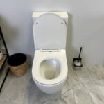 HANI 665*360*845mm Gloss White Rimless Flushing Back to Wall Two-piece Toilet Suite