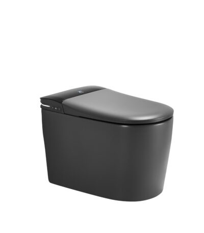 684*390*473mm Matte Grey Instant Heating Jet Siphon Type Flushing Smart Toilet