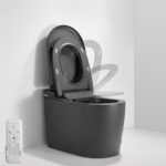 684*390*473mm Matte Grey Instant Heating Jet Siphon Type Flushing Smart Toilet