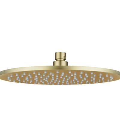 250mm Light Brushed Brass Shower Head