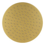 250mm Light Brushed Brass Shower Head