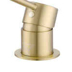 LUCID PIN Series Light Brushed Brass Spout Mixer Trim Kit Only With Separate 60mm Cover Plate (match CLPS)