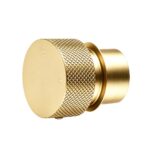 Progressive Light Brushed Brass Handle