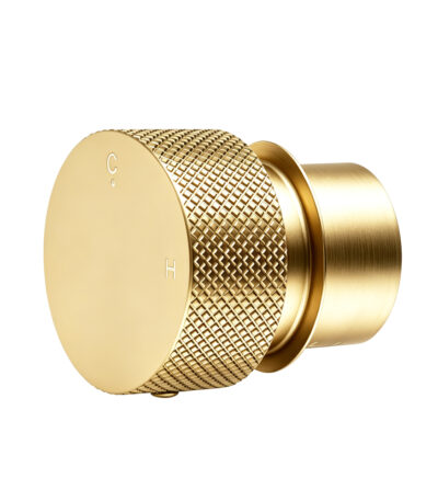 Progressive Light Brushed Brass Handle