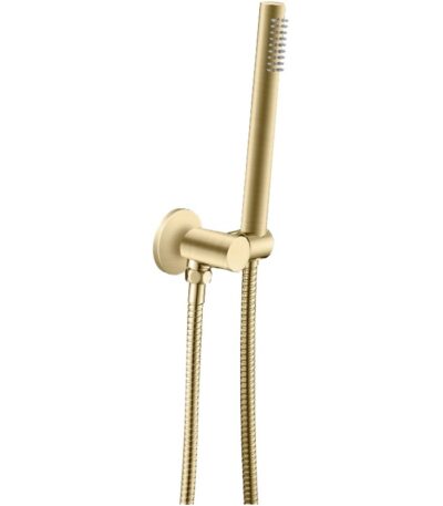 Light Brushed Brass Shower Rail with Handheld Shower