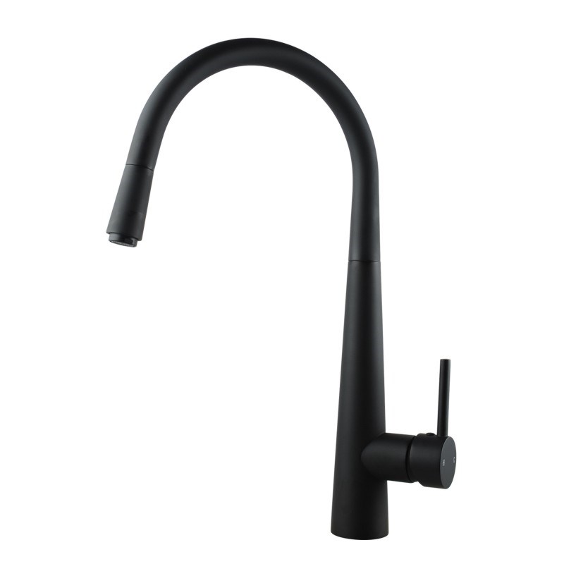 Black Pull Out Kitchen Mixer