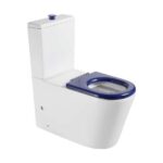 800*390*865mm Pani Care-Accessible Back-to-Wall Toilet