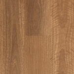 Aspire RCB QLD Spotted Gum