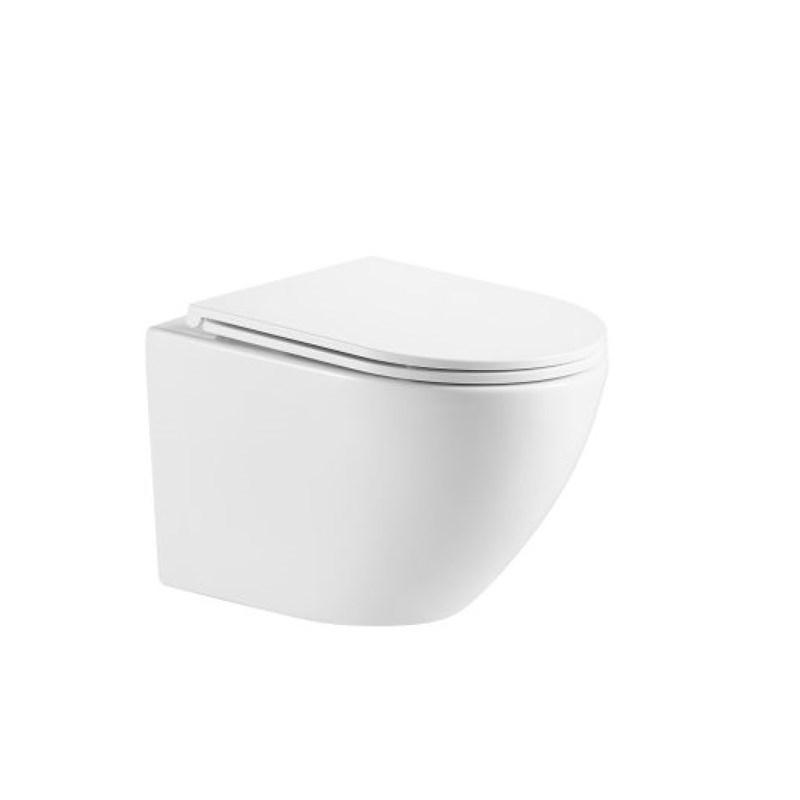 RAUL66 575*360*360mm Gloss White Rimless Flushing Wall Hung Pan