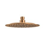 Amoza 250 mm S/S Over Shower Head