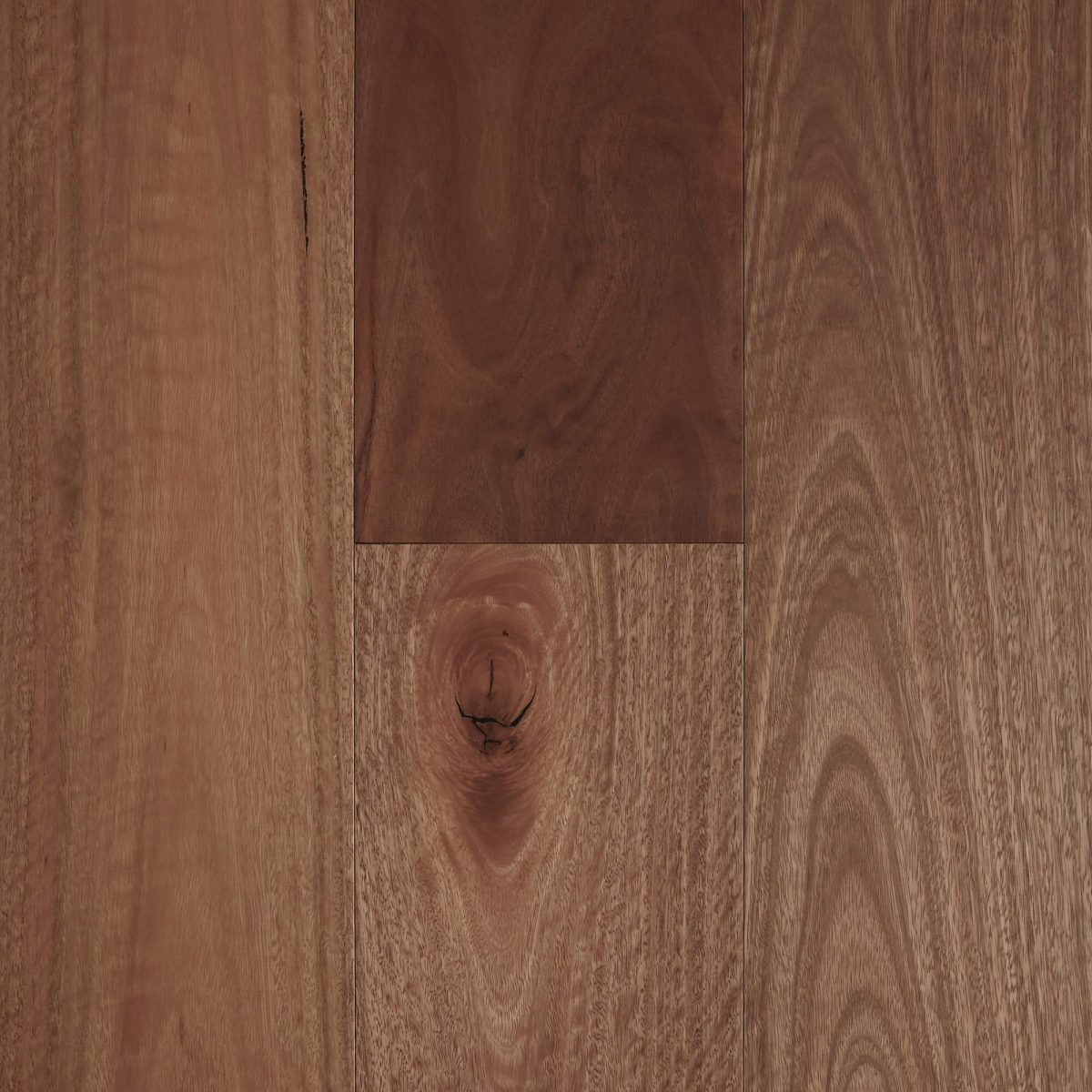 Spotted-Gum-Smooth-Matte-Fiddleback-1200x1200-1.jpg Fiddleback Australian Hardwood Spotted Gum - Image 1