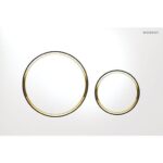 Sigma20 White with Gold Trim ABS Dual Flush/Access Plate(Round Button)