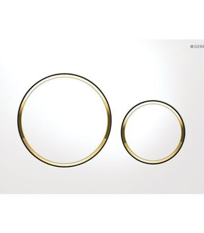 Sigma20 White with Gold Trim ABS Dual Flush/Access Plate(Round Button)