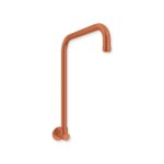 Amoza Gooseneck Shower Arm