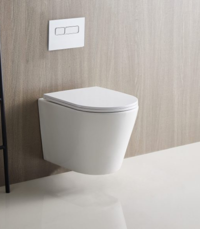 BERLIN66 515*365*450mm Gloss White Quiet Flushing Wall Hung Pan